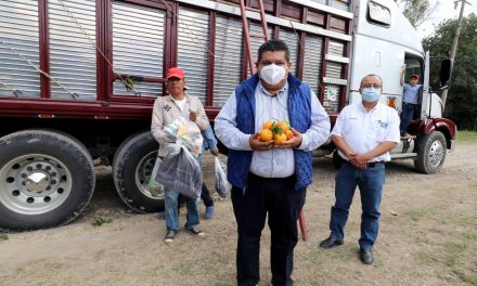 EL GOBIERNO DE TUXPAN BENEFICIA A CITRICULTORES GESTIONANDO MEJORES PRECIOS