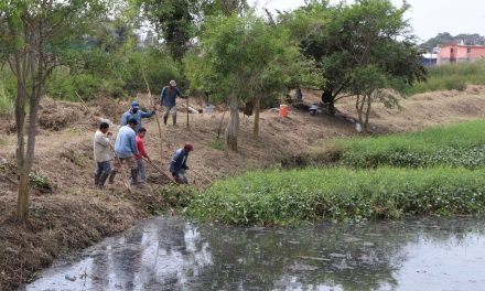 AYUNTAMIENTO DESAZOLVA CANAL PARA PREVENIR INUNDACIONES