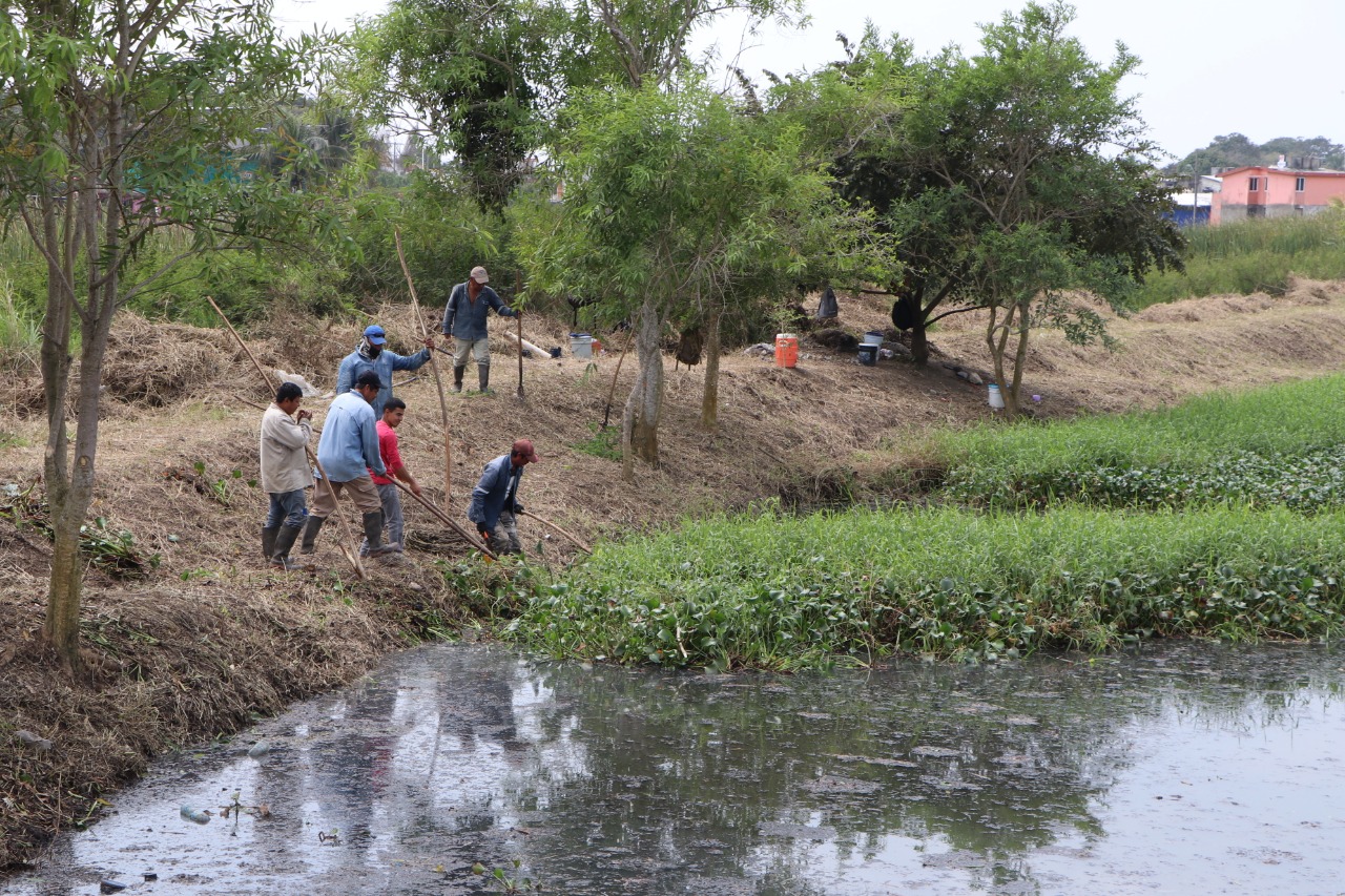 AYUNTAMIENTO DESAZOLVA CANAL PARA PREVENIR INUNDACIONES