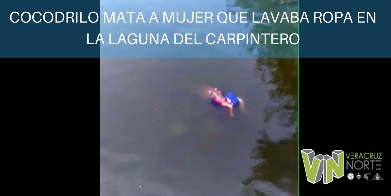 COCODRILO MATA A MUJER QUE LAVABA ROPA EN LA LAGUNA DEL CARPINTERO