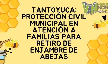 Tantoyuca: Protección Civil municipal en atención a familias para retiro de enjambre de abejas