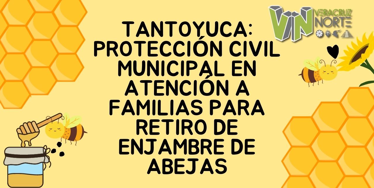 Tantoyuca: Protección Civil municipal en atención a familias para retiro de enjambre de abejas