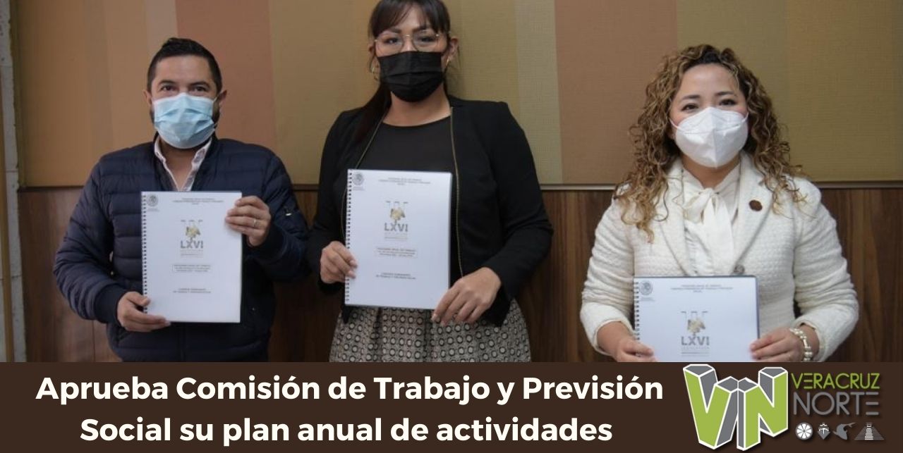 Aprueba Comisión de Trabajo y Previsión Social su plan anual de actividades