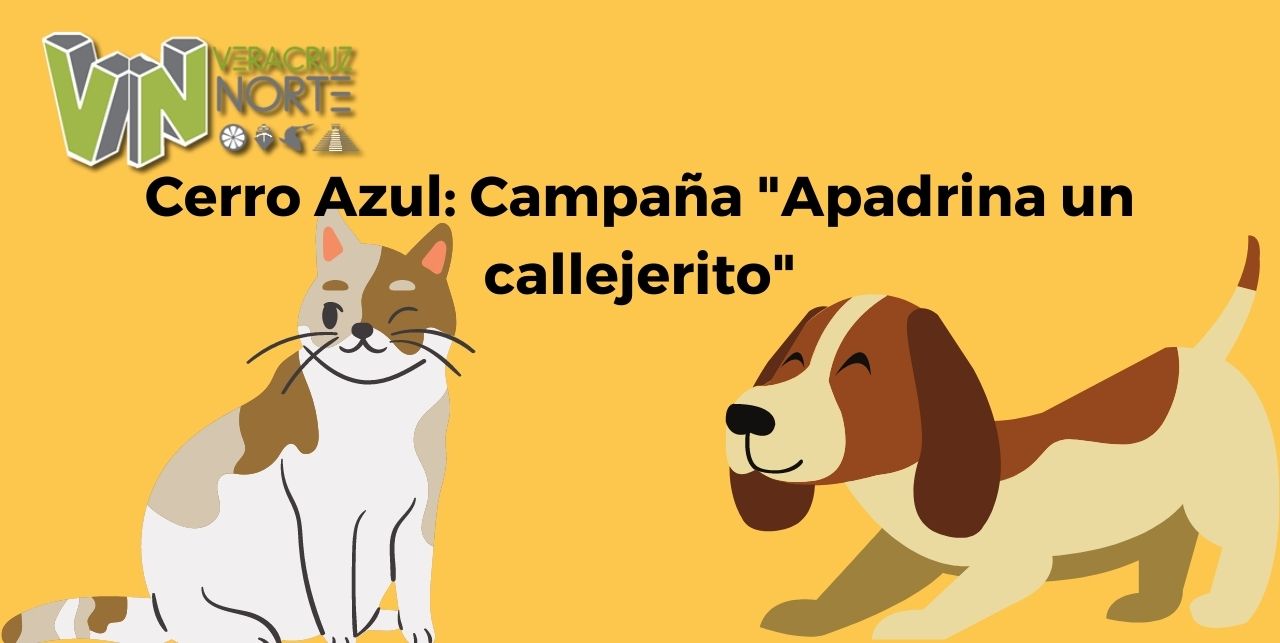 Cerro Azul: Campaña «Apadrina un callejerito»