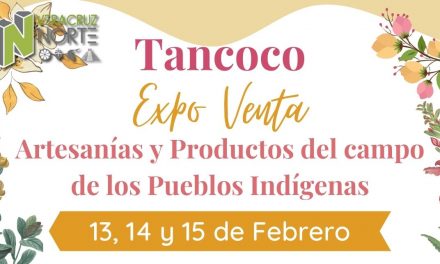 Tancoco: Expo Venta de artesanías y productos de pueblos indígenas