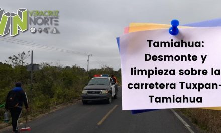 Tamiahua: Desmonte y limpieza sobre la carretera Tuxpan-Tamiahua