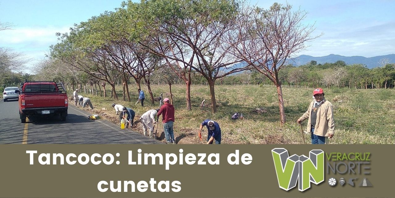 Tancoco: Limpieza de cunetas