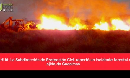 TAMIAHUA: La Subdirección de Protección Civil reportó un incidente forestal en el ejido de Guasimas
