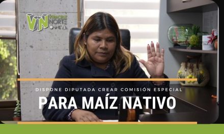 Propone Diputada Crear Comisión Especial para el Maíz Nativo