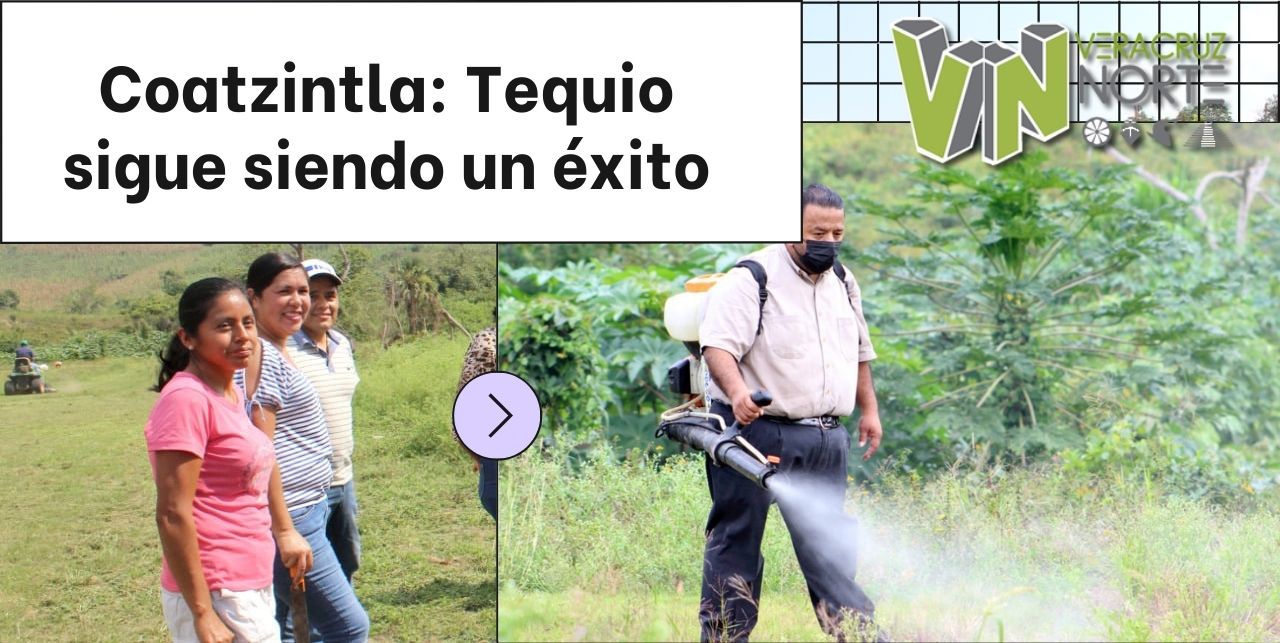 Coatzintla: Tequio sigue siendo un éxito