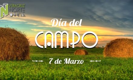 Naranjos: Día mundial del Campo