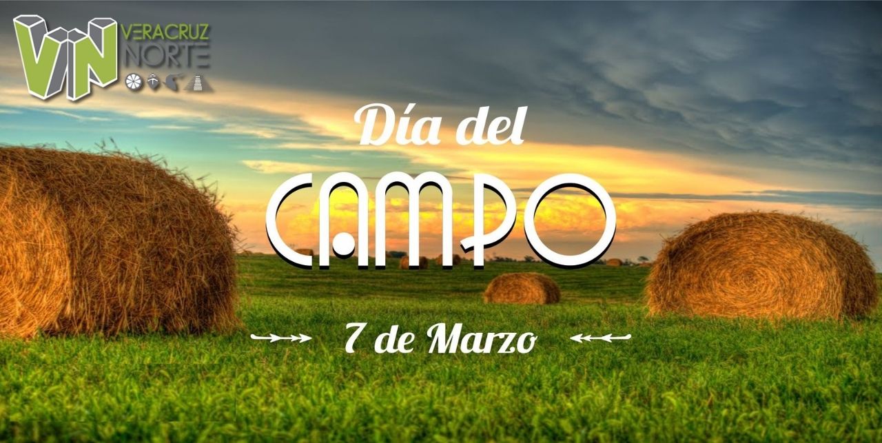 Naranjos: Día mundial del Campo