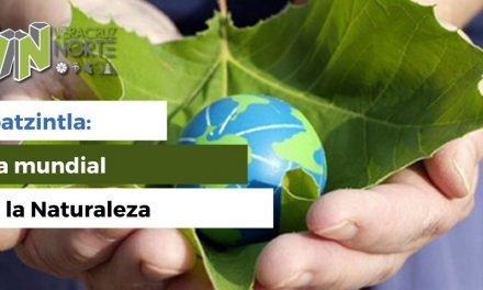 Coatzintla: Día mundial de la Naturaleza
