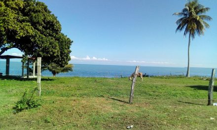 Tantima: Acude al «PLAYASO LOS HIGUEROS»