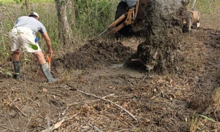 Ozuluama: Labores en la línea general del agua potable