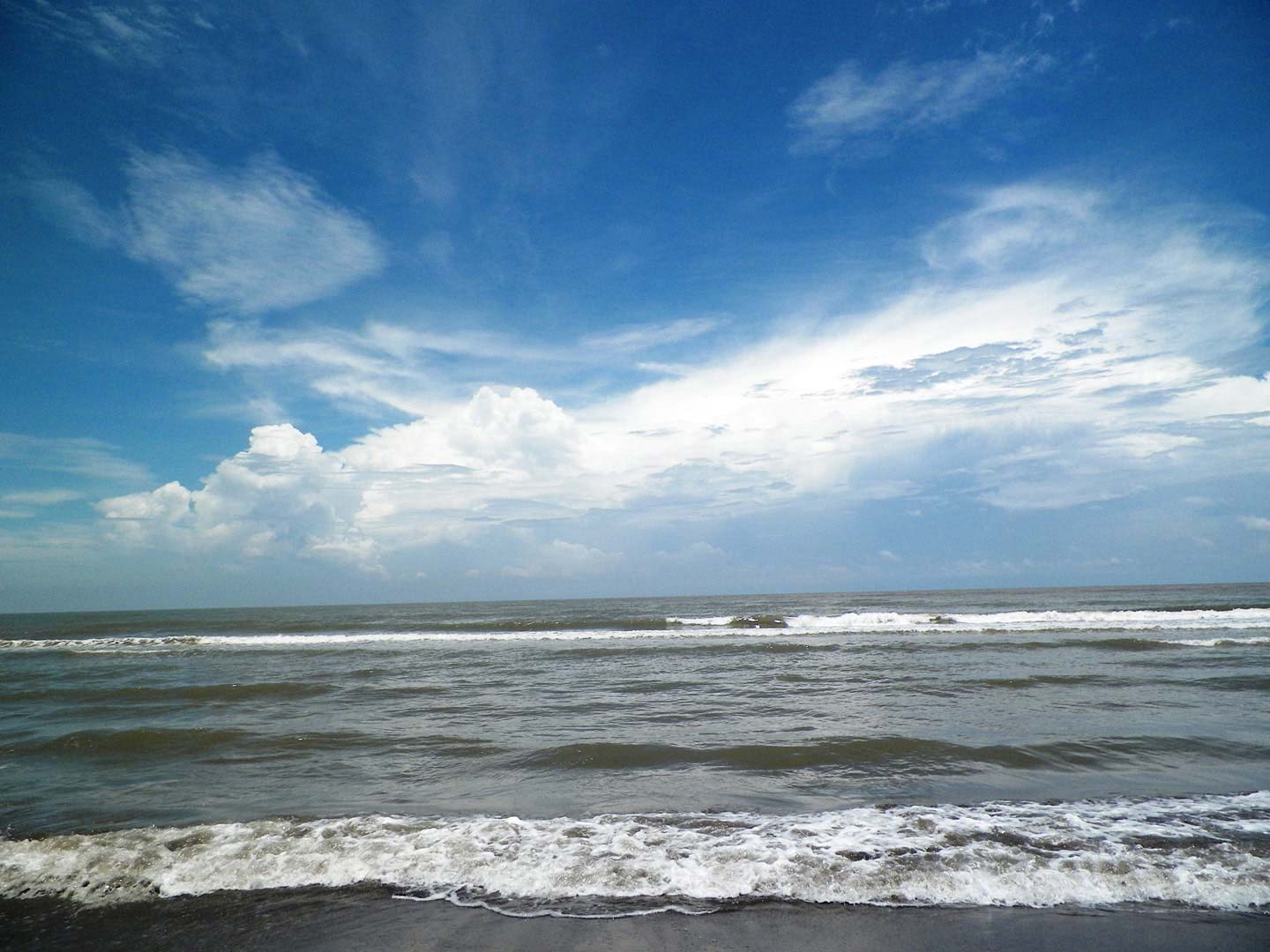 Visita playas y manglares de Tecolutla