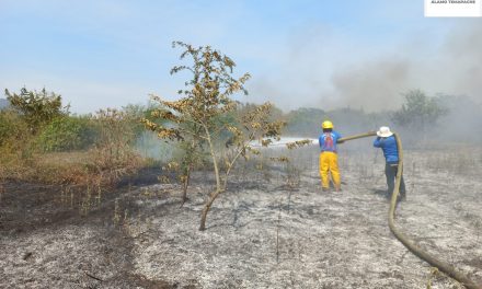 Álamo: Atención a incendio en el ejido La Reforma Agraria en los limites con Lima Tamatoco