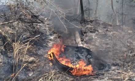 Tihuatlán: Atención a 5 incendios de pastizal por quema agrícola