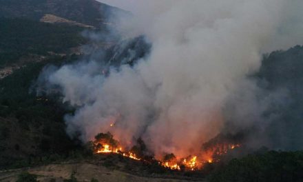Ozuluama: Información para saber que hacer en caso de un Incendio Forestal