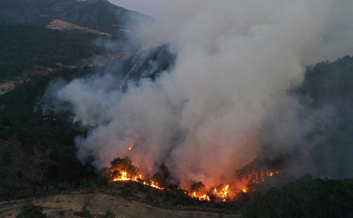 Ozuluama: Información para saber que hacer en caso de un Incendio Forestal