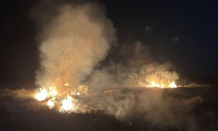 Tamiahua: Incendio sofocado gracias a la ayuda de 20 personas y 10 mil litros de agua