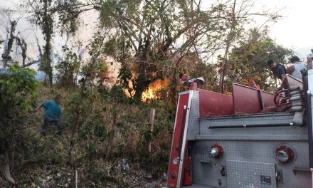 Tihuatlán: Incendio en pastizales en la comunidad de Zipatlan y Tecoxtempan