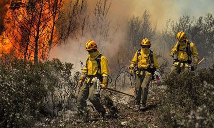 Ozuluama: Día Internacional de las Personas Combatientes de Incendios Forestales