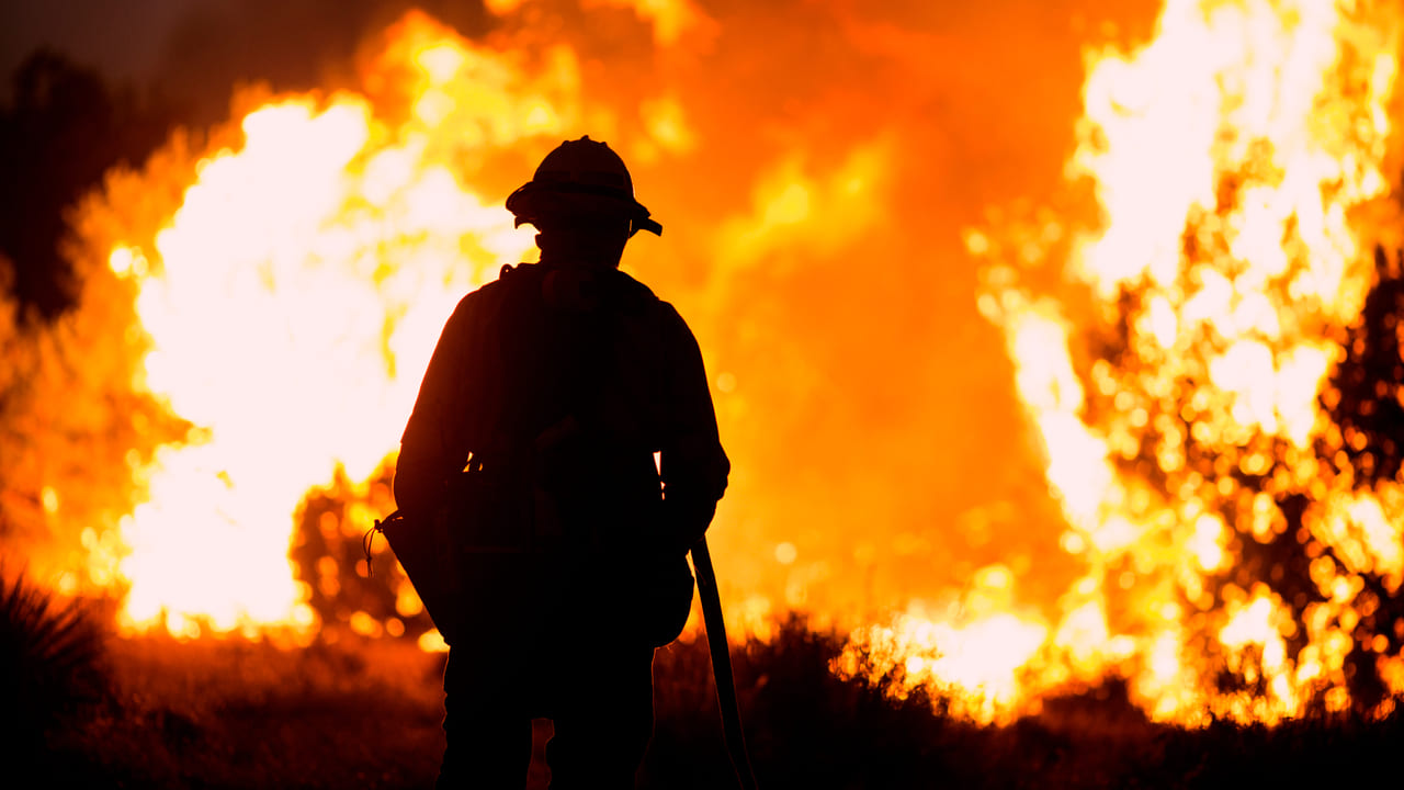 Gutiérrez Zamora: Día Internacional de los Combatientes de Incendios Forestales