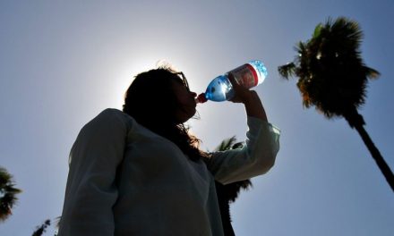 Gutiérrez Zamora: Ola de calor