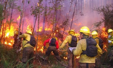 Tantoyuca: Día Internacional del Combatiente de Incendios Forestales