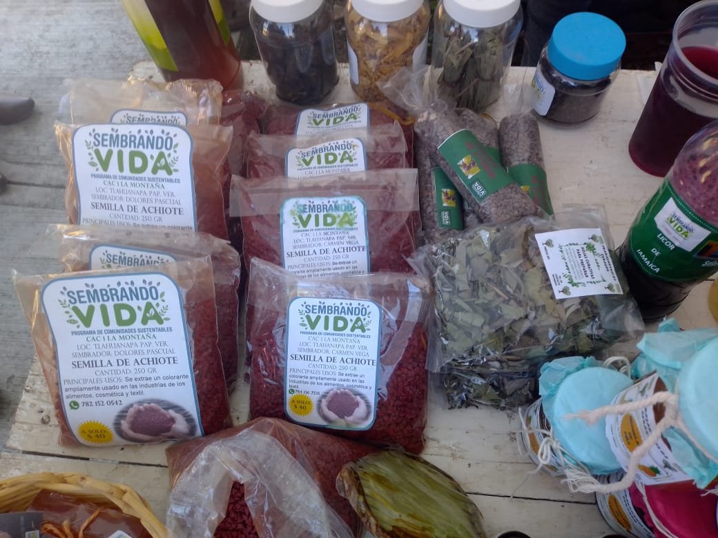 Álamo: Programa «Sembrando Vida» en el Segundo Foro Citrícola