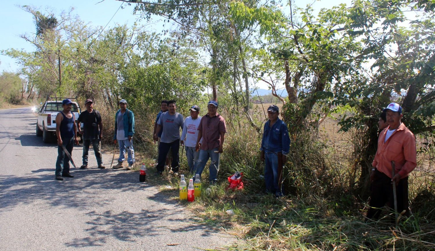 Coatzintla: Limpieza en ambos lados de la carretera y Troncones