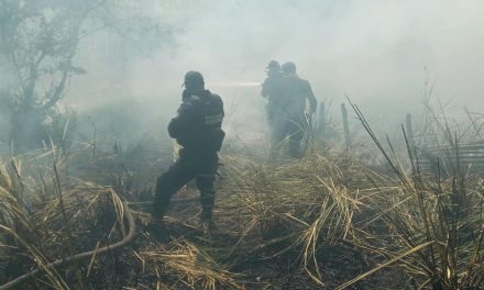 Ozuluama: Apoyo en incendio de Pastizal en la colonia El Mirador