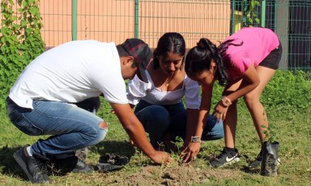 Coatzintla: Siembra de árboles por el día del medio ambiente