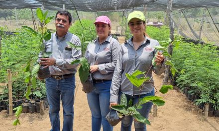 Ozuluama: Sembrando Vida en la comunidad de San Luciano
