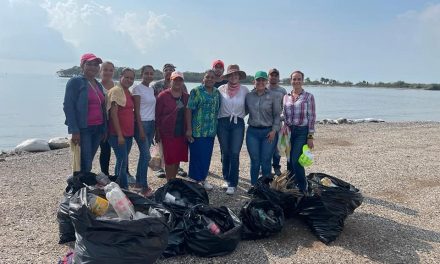 Ozuluama: Limpieza en la playa de Cucharas en conmemoración del día de los océanos