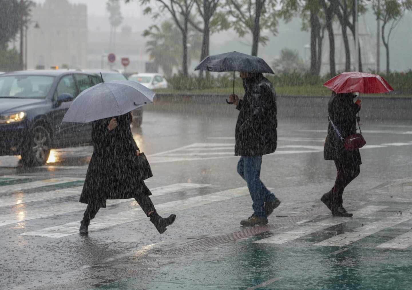 Naranjos: Protégete en tiempo de lluvia