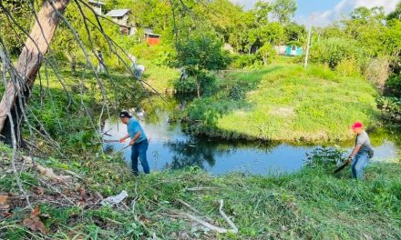 Papantla: Jornada de descacharrización en Totomoxle