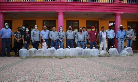 Ozuluama: Entrega de 32 mil crías de tilapias