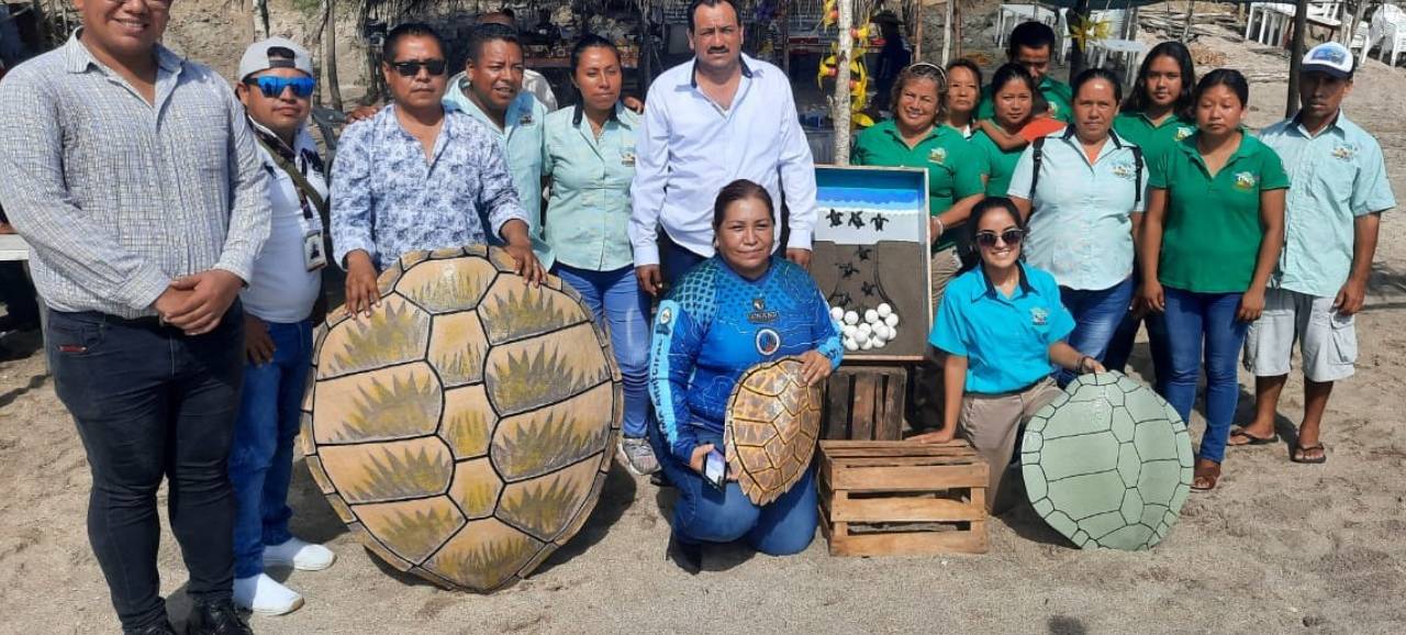 Cazones: Primera liberación de tortugas en la playa Chaparrales