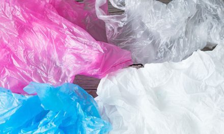 Gutiérrez Zamora: Día Internacional Libre de Bolsas de Plásticos