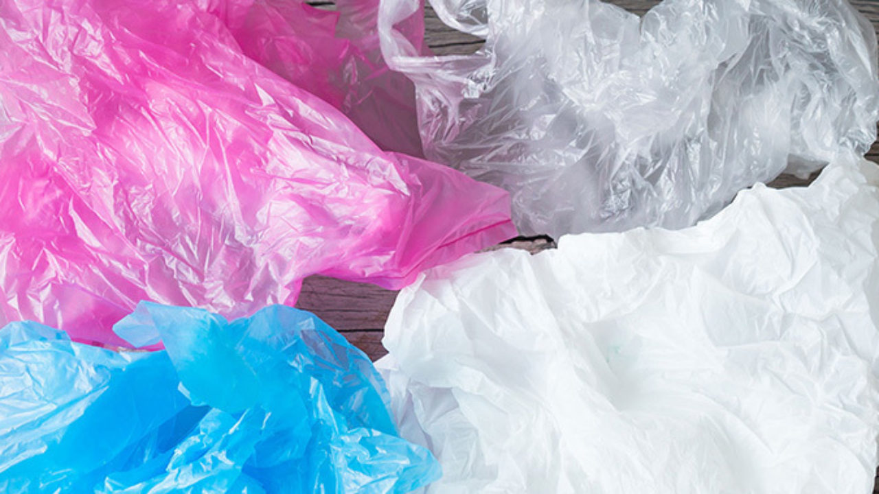 Gutiérrez Zamora: Día Internacional Libre de Bolsas de Plásticos
