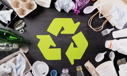 Álamo: Inicia campaña «Recicla, es tu mejor papel»