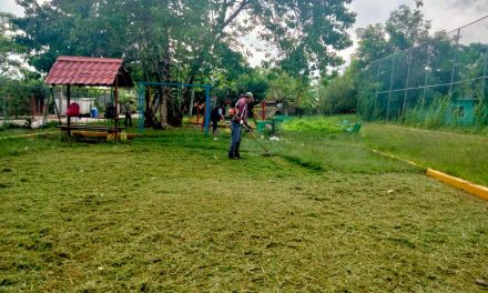 Chontla: Poda de árboles y mantenimiento de la entrada principal