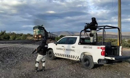 Ejército Mexicano despliega operativo en el municipio de Álamo, Veracruz