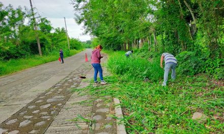 Citlaltépetl: Jornada de limpieza y mantenimientos de arbolitos
