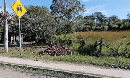 Tamiahua: Continúan los trabajos permanentes de deslinde de Raya Obscura