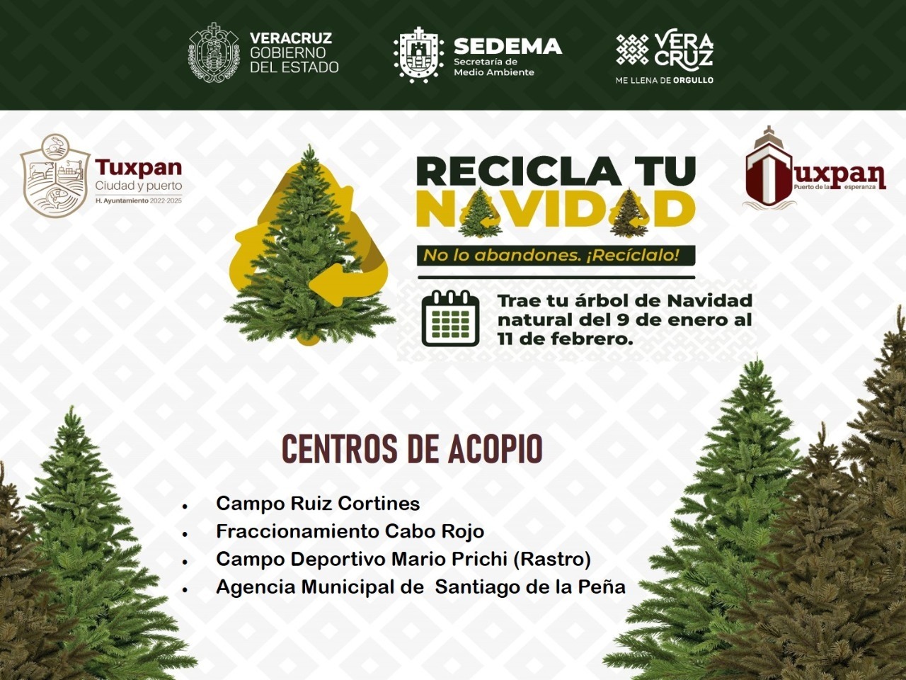 El 9 de enero inicia la campaña “Recicla tu Navidad 2023”