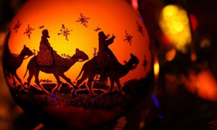 Pánuco: Circo por festejo del día de Reyes