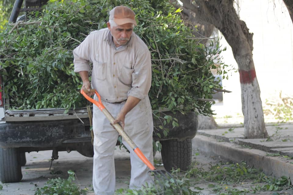 Pánuco: Mantenimiento a todos los espacios recreativos, áreas verdes